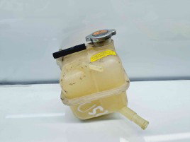 Vas expansiune Renault Koleos 1 SUV [Fabr 2008-2015] OEM