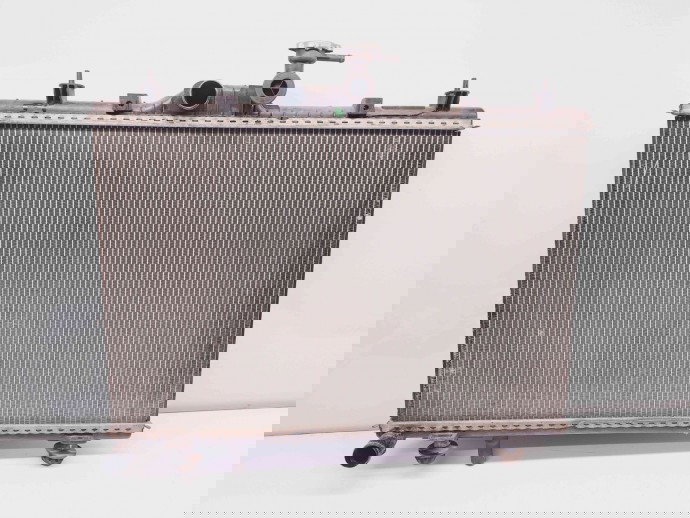 Radiator apa Renault Koleos 1 SUV [Fabr 2008-2015] 21400JY00A 2.0 DCI   