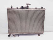 Radiator apa Renault Koleos 1 SUV [Fabr 2008-2015] 21400JY00A 2.0 DCI   