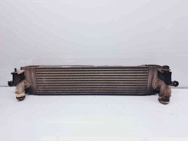Radiator intercooler Renault Koleos 1 SUV [Fabr 2008-2015] 14461-JG70B 2.0 DCI   