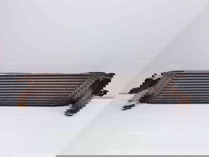 Radiator intercooler Renault Koleos 1 SUV [Fabr 2008-2015] 14461-JG70B 2.0 DCI   