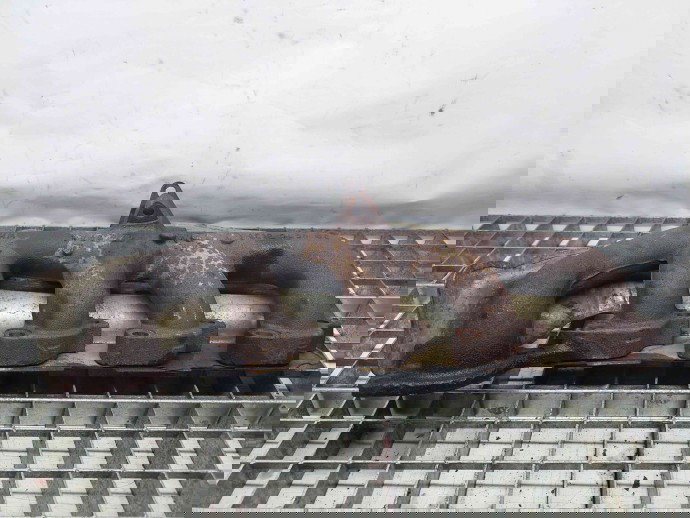 Galerie evacuare Ford Transit [Fabr 2006-2013] 6C1Q-9430-BC 2.2   