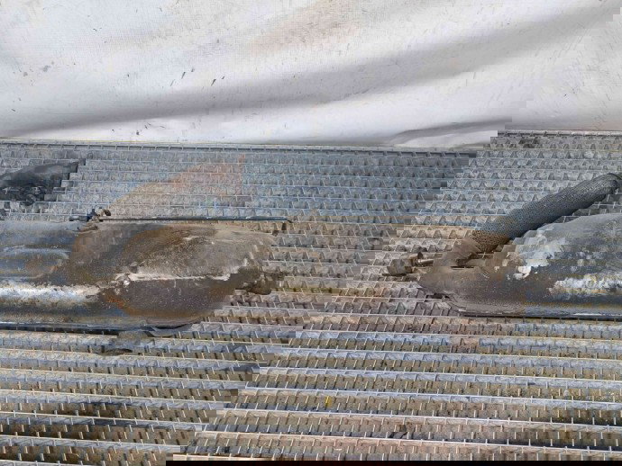 Toba esapament SMART Fortwo Coupe (W451) [Fabr 2006-2014] OEM 0.8 CDI 660951  