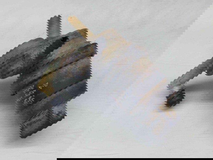  Motoras vas strop gel Opel Astra H Combi [Fabr 2004-2009] 24439254 1.7 CTDI Z17DTL  59KW / 80CP