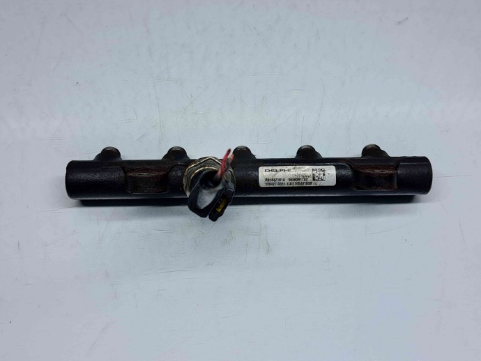 Rampa injectoare Peugeot 508 [Fabr 2010-2018] 96563191180 2.0 HDI DW10BT   