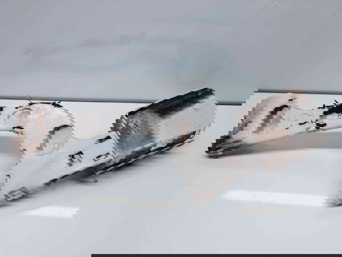 Suport bara dreapta spate Ford Focus 3 Hatchback [Fabr 2011-2015] BM51-17A881-A