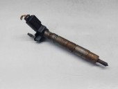 Injector Bmw X1 (E84) [Fabr 2009-2015] 7805428 2.0 N47  130KW / 177CP  