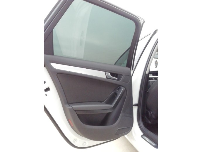 Fata usa spate stangaAudi A4 B8 2.0 d CJCB LY9C 2008-2015