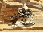 Cutie viteze manuala 6 trepte Ford Focus 3 (CB8) [Fabr 2011-2015] AV6R-7002-KG 1.6 TDCI DV6 85KW / 115CP  