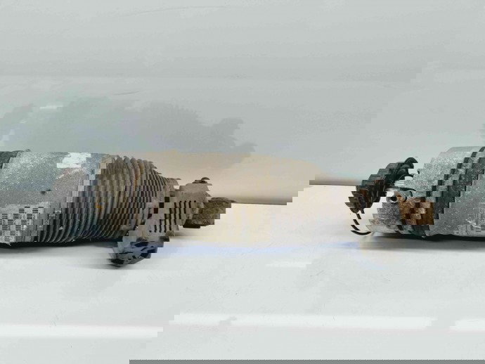 Perna aer dreapta spate Audi Q7 (4LB) [Fabr 2006-2014] 7L8616020 3.0 TDI BUG 171KW / 233CP 3.0 TDI BUG 171KW / 233CP