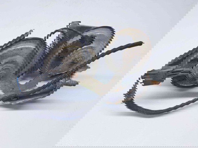  Claxon Ford Focus 3 (CB8) [Fabr 2011-2015] OEM