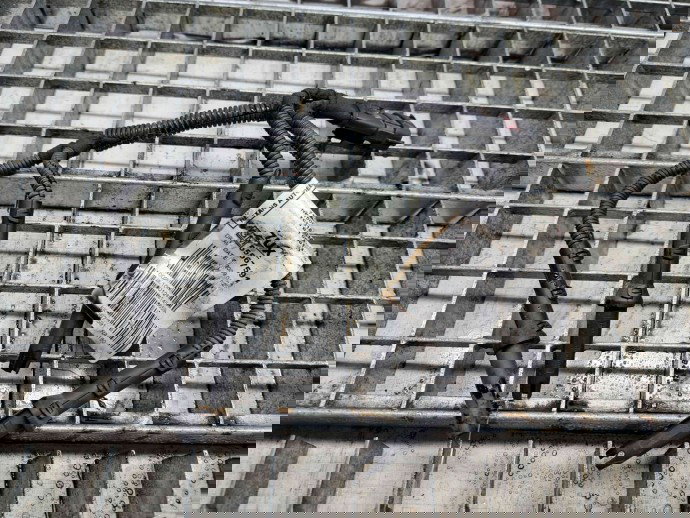  Instalatie electrica bujii Opel Insignia A [Fabr 2008-2016] 55567591 