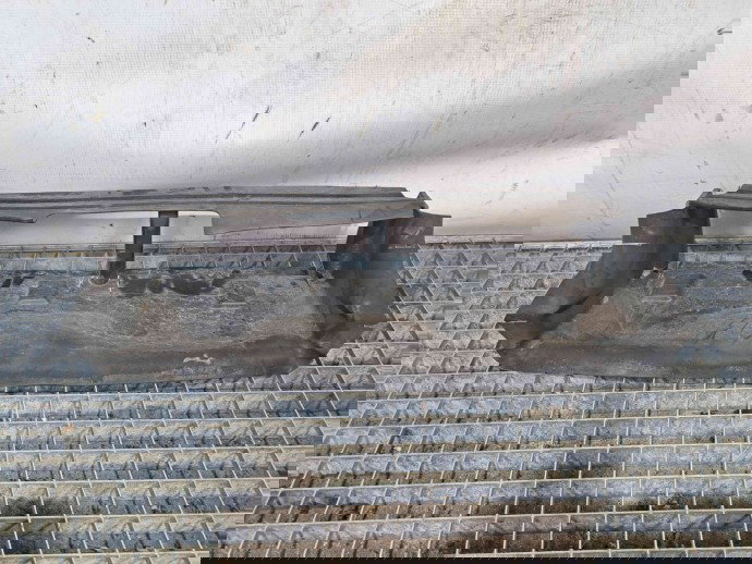 Deflector aer Ford Focus 3 (CB8) [Fabr 2011-2015] BM51-8312-AC