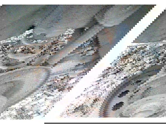 Amortizor cu arc dreapta spate Opel Zafira B 1.8 benz LJ7 2HU 2006-2011