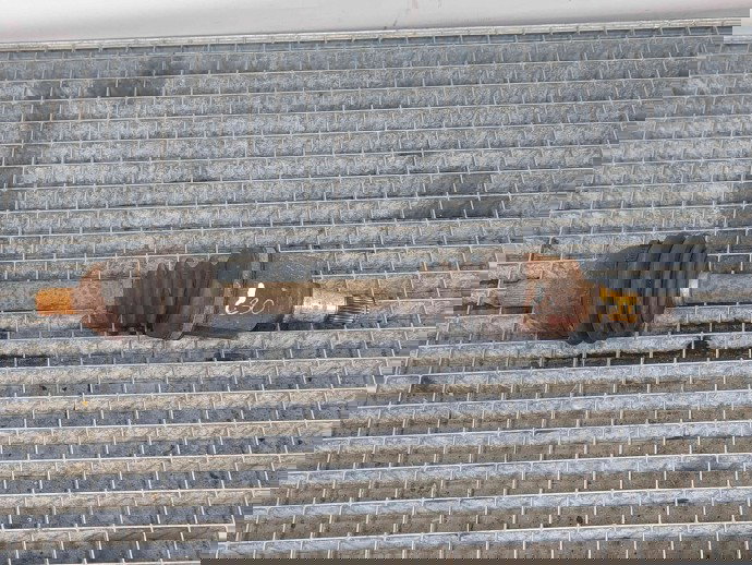 Planetara stanga fata Volvo S40 II (MS) [Fabr 2004-2012] OEM 1.6 D4164T   