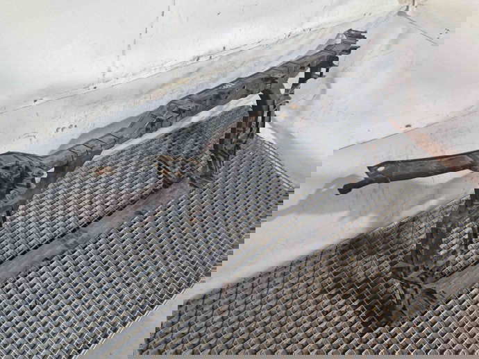 Trager Audi A4 (8K5, B8) Avant [Fabr 2008-2015] OEM