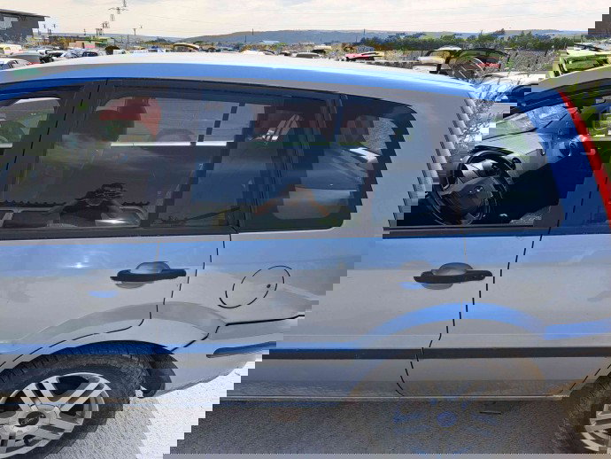 Usa stanga spate Ford Fusion (JU) [Fabr 2002-2012] Tonic (Metallic)