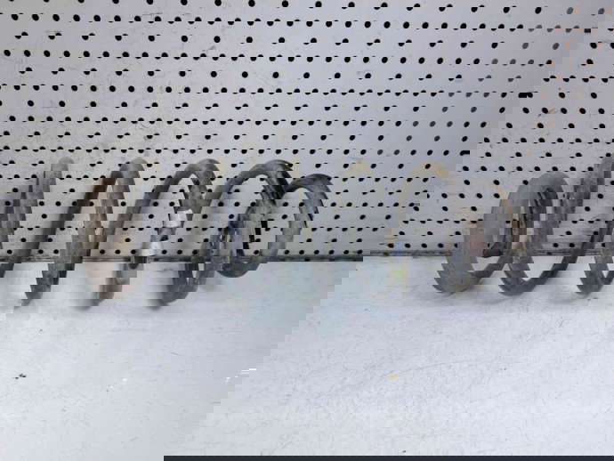 Arc Peugeot 3008 [Fabr 2009-2016] OEM 2.0  