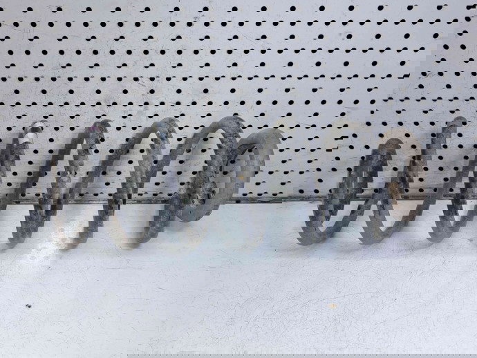 Arc Peugeot 3008 [Fabr 2009-2016] OEM 2.0  