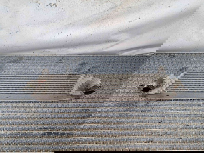 Radiator intercooler Nissan Qashqai [Fabr 2007-2014] 14461JD50B 1.5 DCI K9K  