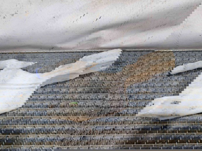  Vas lichid parbriz Ford Fiesta 6 [Fabr 2008-2019] 8A61-17B613-AF