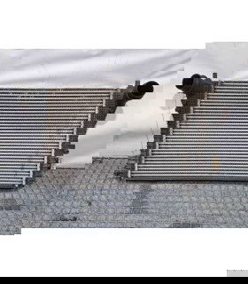 Radiator intercooler Skoda Superb II Combi (3T5) [Fabr 2009-2015] OEM 2.0 TDI CFGB 