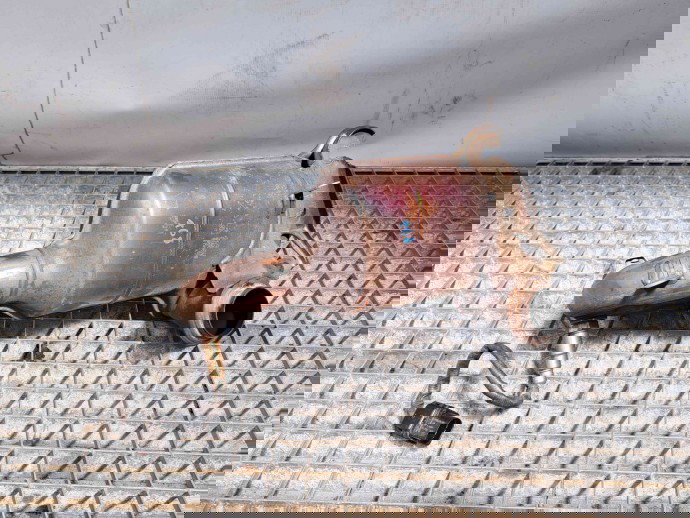 Catalizator Peugeot 3008 [Fabr 2009-2016] OEM 2.0 120KW / 163CP  