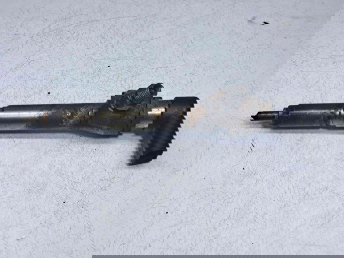 Injector Nissan Qashqai [Fabr 2007-2014] 8200842205 | 8200294788 1.5 DCI K9K  