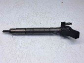 Injector Audi A5 (8T3) [Fabr 2007-2015] 059130277AP 2.7 CAMA  