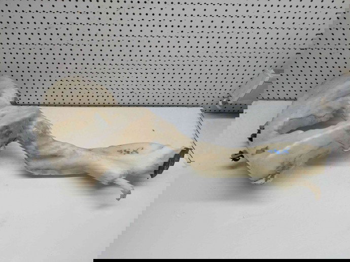  Vas lichid parbriz MINI Cooper (R56) [Fabr 2006-2014] 61667157124