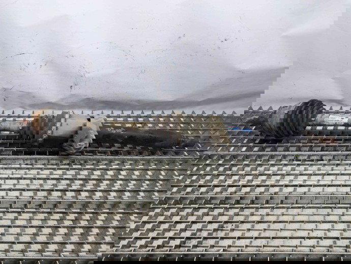 Planetara dreapta fata MINI Cooper (R56) [Fabr 2006-2014] 7589764 1.4 B N12B  