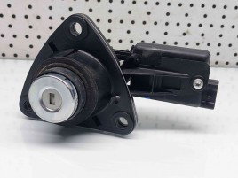  Buton deschidere haion Dacia Duster [fabr 2010-2017] OEM
