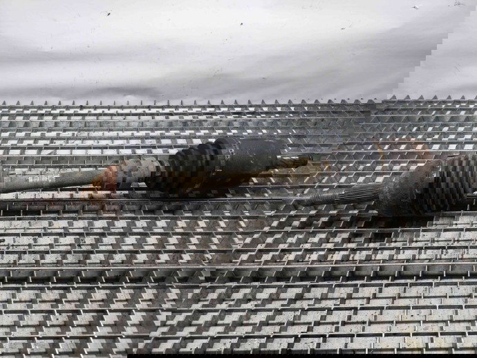 Planetara stanga fata Nissan Qashqai [Fabr 2007-2014] 39101JD52B 1.5  