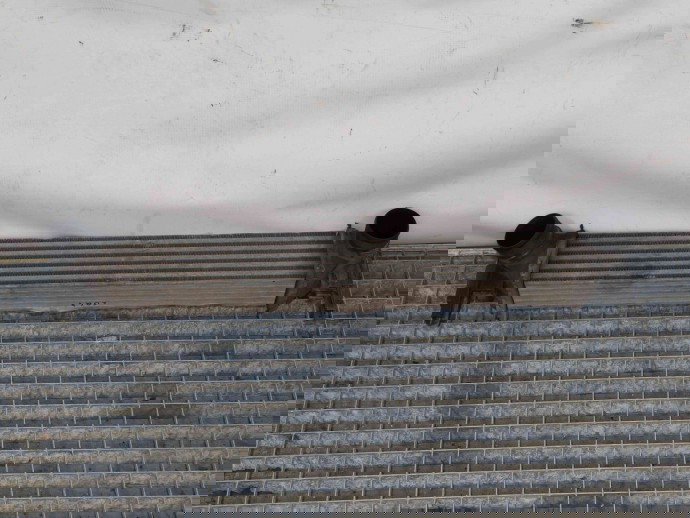 Radiator intercooler Seat Ibiza 5 (6J5) [Fabr 2008-2017] OEM 1.4 TDI BMS 1.4 TDI BMS 59KW / 80CP