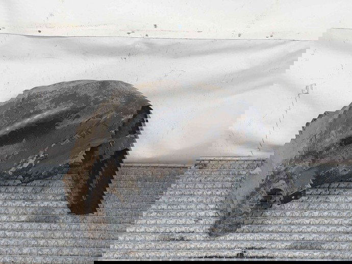 Carenaj roata stanga spate Fiat 500 [Fabr 2010-prezent] 51786786