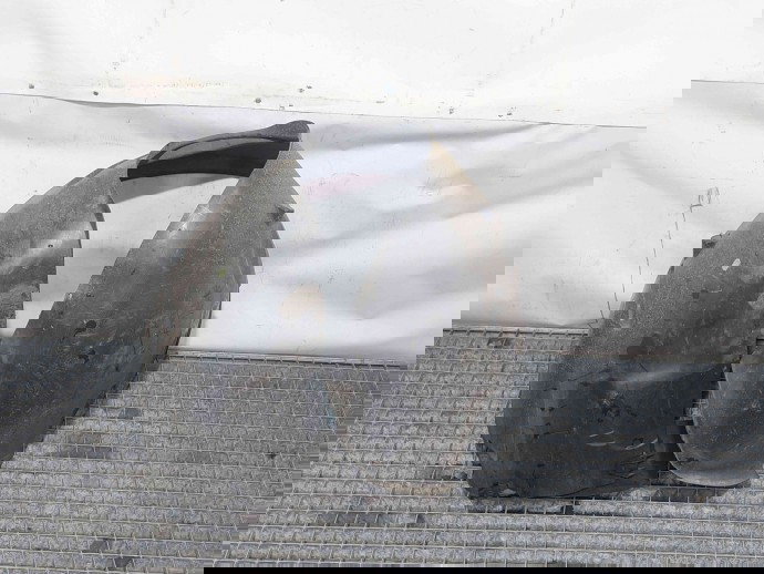 Carenaj roata dreapta fata Volvo S40 II (MS) [Fabr 2004-2012] 30678144