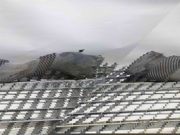 Tub admisie aer Dacia Duster [fabr 2010-2017] 165555736R