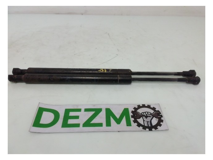 Amortizoare haion BMW Seria 3[E46] 316I OEM 1998-2005