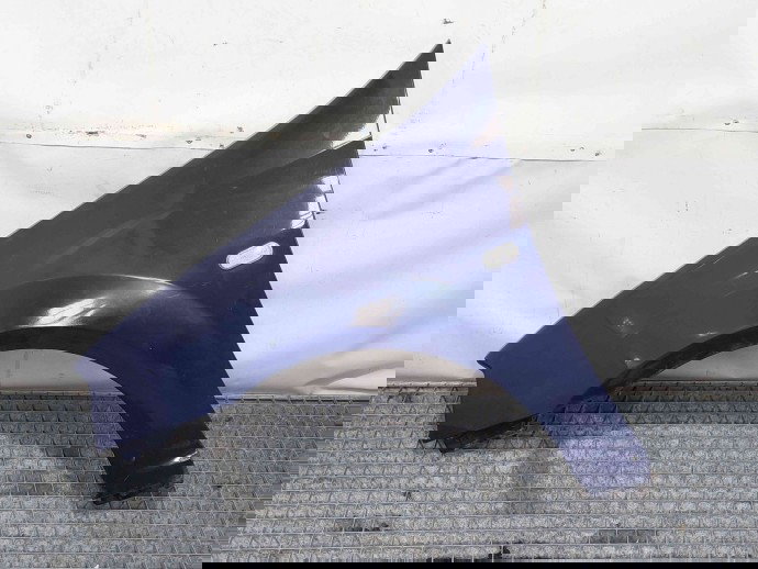 Aripa stanga fata Dacia Logan (LS) [Fabr 2004-2012] ALBASTRU