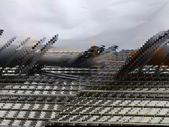 Amortizor stanga fata Mercedes Clasa E (W212) [Fabr 2009-2016] A2123200413 2.2 651924 2.2 651924 143KW / 194CP