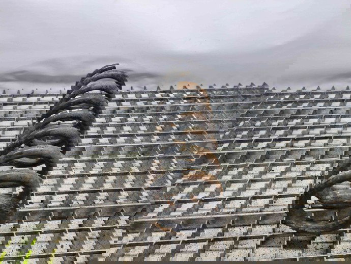 Arc Mercedes Clasa E (W212) [Fabr 2009-2016] OEM 2.2 651924  