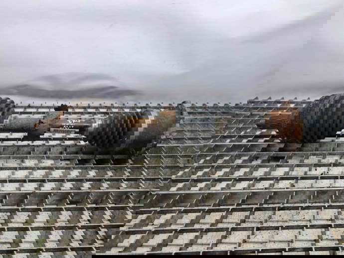 Planetara stanga fata Seat Ibiza 5 (6J5) [Fabr 2008-2017] 6R0407761L 1.4 TDI BMS 1.4 TDI BMS 59KW / 80CP