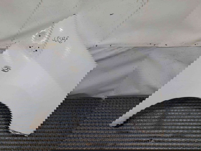 Aripa dreapta fata Peugeot Expert (III) (G9) [Fabr 2007-2015] EWP