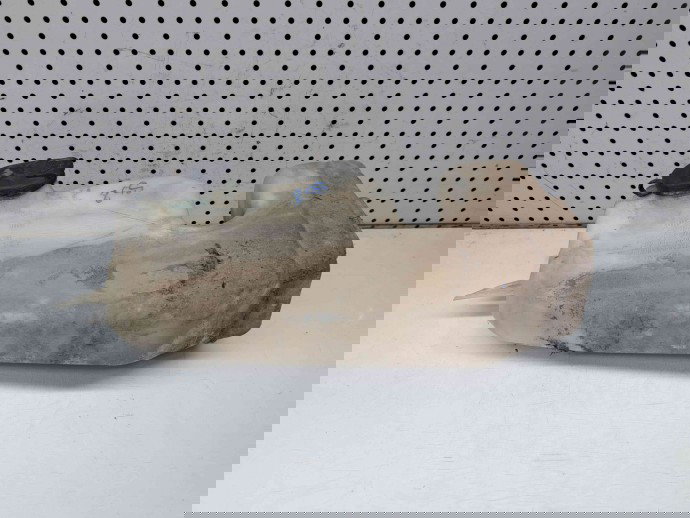  Vas lichid parbriz Dacia Logan (LS) [Fabr 2004-2012] 8200210002 | 8200609549