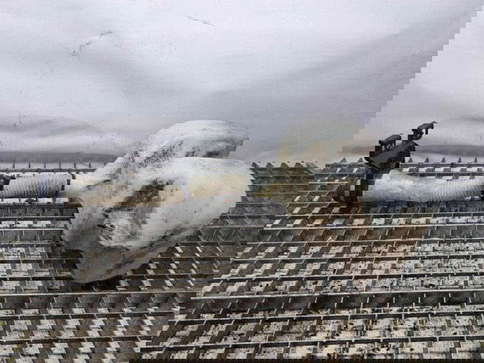  Vas lichid parbriz Peugeot Expert (III) (G9) [Fabr 2007-2015] 1488395080