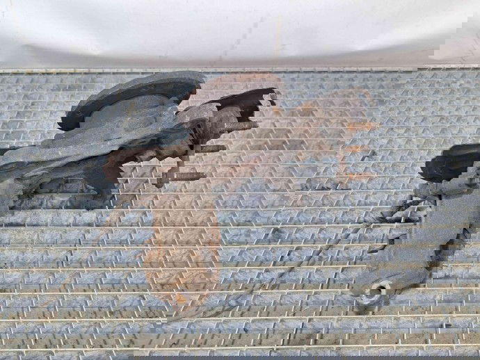 Fuzeta fata stanga Volkswagen Touran (1T1, 1T2) [Fabr 2003-2010] OEM 1.9 TDI BXE 1.9 TDI BXE 77KW / 105CP