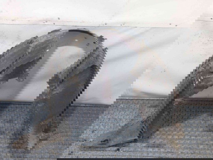 Carenaj roata dreapta fata Nissan Qashqai [Fabr 2007-2014] 63840JD50A