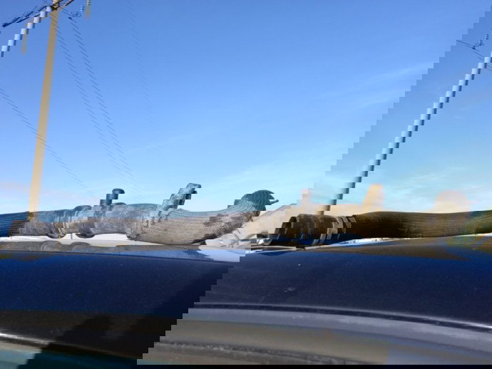 Furtun intercooler Citroen C5 2.0 HDI OEM 2008-2021