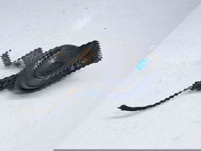  Claxon Audi A3 Sportback (8PA) [Fabr 2004-2013] 024148 | HIGH