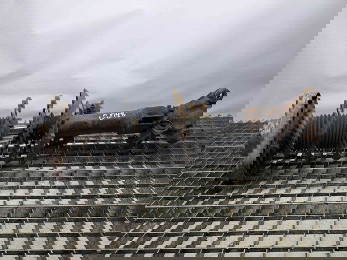 Amortizor dreapta fata Mercedes Clasa E (W212) [Fabr 2009-2016] A2123200413 2.2 651924  